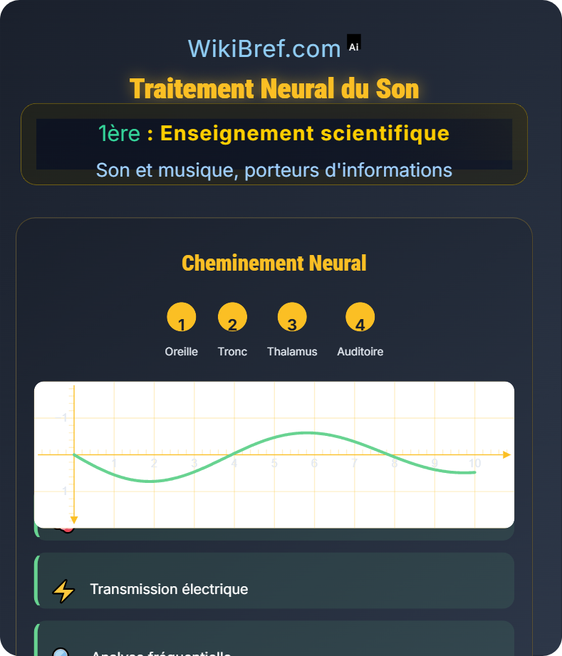 Entendre la musique et perception humaine Son et musique, porteurs d'informations