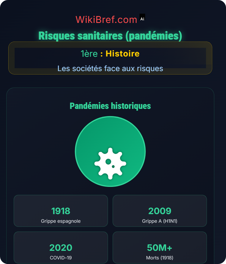 Nature des risques Les sociétés face aux risques