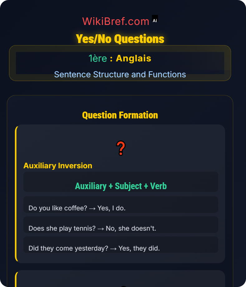Questions and Negation Sentence Structure and Functions