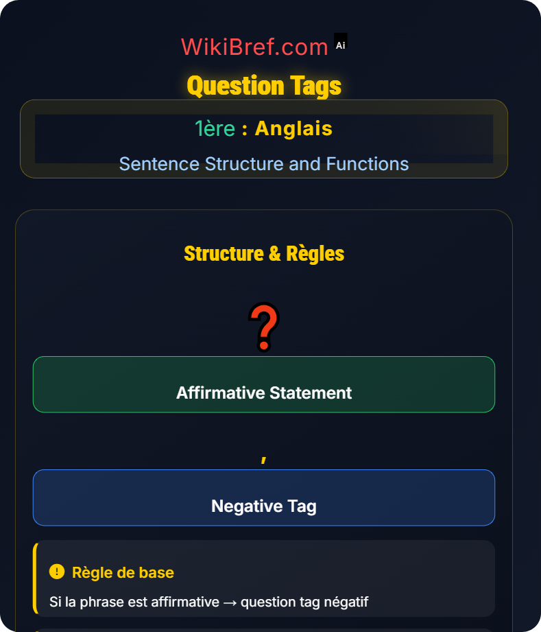 Questions and Negation Sentence Structure and Functions