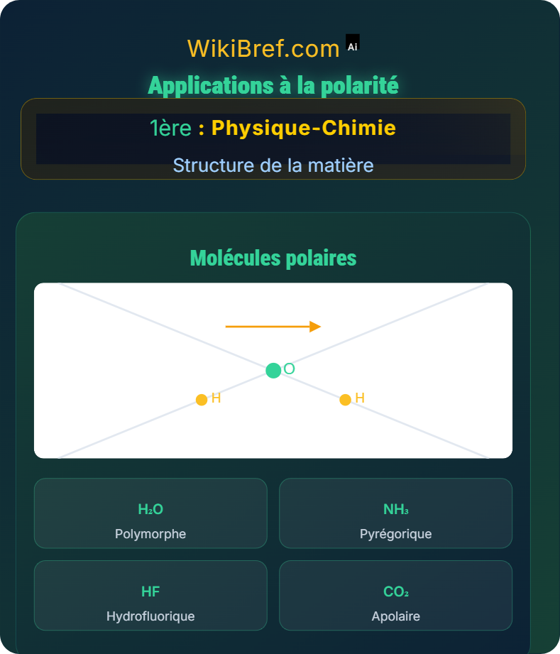 Représentation des entités chimiques Structure de la matière