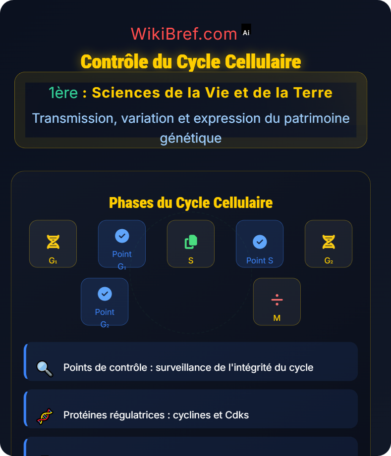 La division cellulaire chez les eucaryotes Transmission, variation et expression du patrimoine génétique