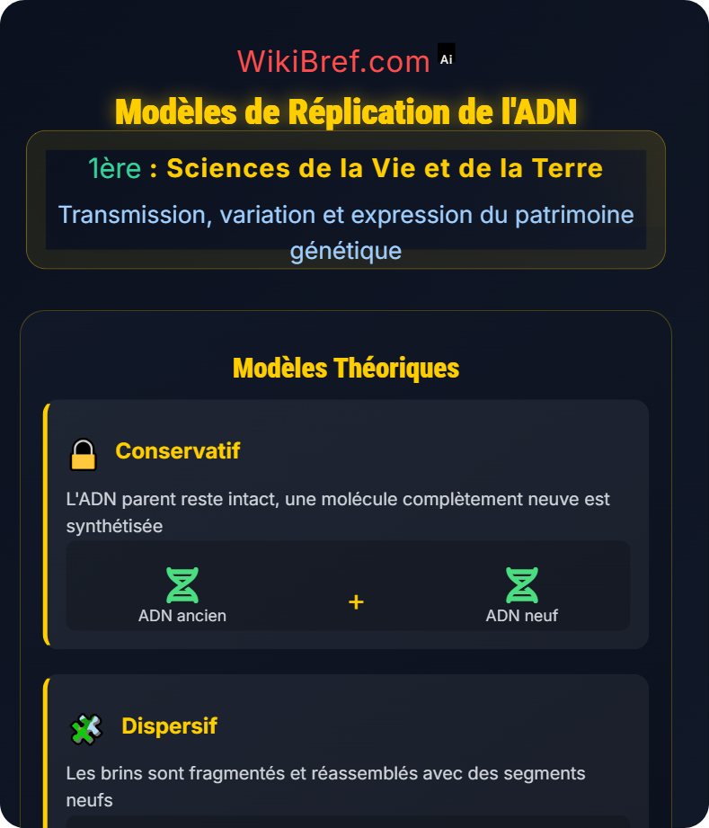 La réplication de l’ADN Transmission, variation et expression du patrimoine génétique