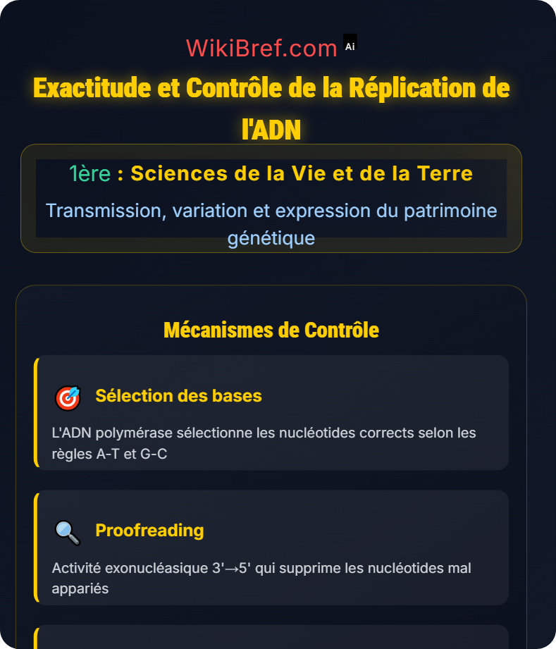 La réplication de l’ADN Transmission, variation et expression du patrimoine génétique