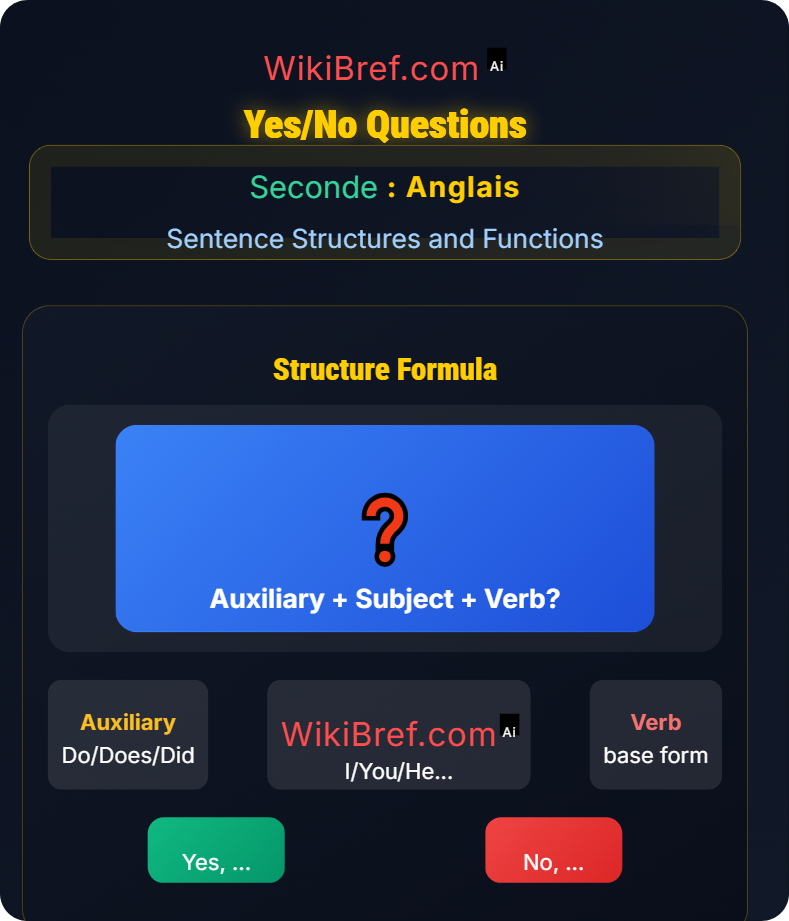 Questions and Negation Sentence Structures and Functions