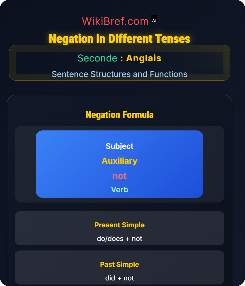 Questions and Negation Sentence Structures and Functions