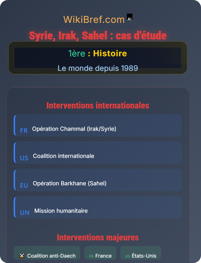 Syrie, Irak, Sahel : cas d’étude Les conflits contemporains