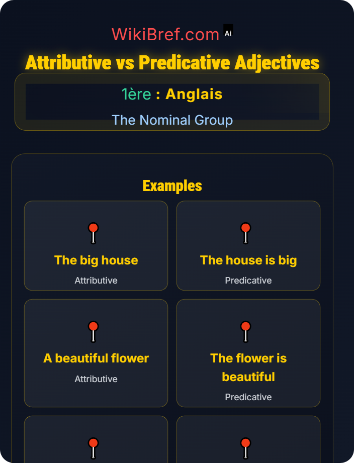 Attributive vs predicative adjectives Adjectives and Order